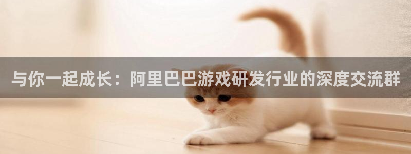 新宝GG官网代理注册地址：与你一起成长：阿里巴巴游戏研发行业的深度交流群