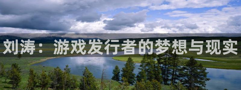 新宝GG子怎么来的：刘涛：游戏发行者的梦想与现实