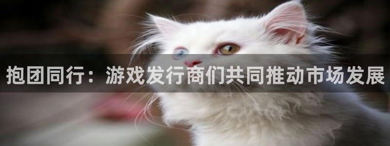 新宝GG官网平台怎么样知乎