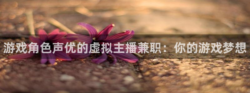 新宝GG技术有限公司怎么样