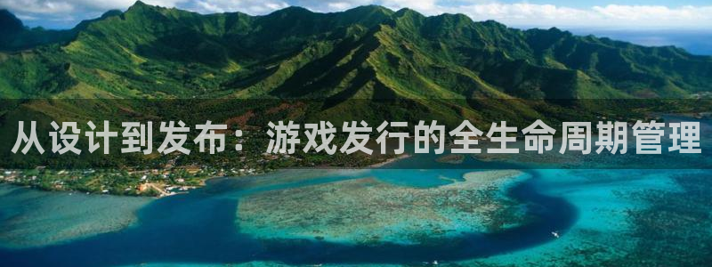新宝GG官网登录注册账号密码：从设计到发布：游戏发行的全生命周期管理