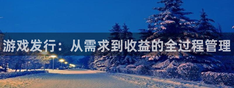 新宝GG集团有限公司：游戏发行：从需求到收益的全过程管理