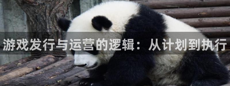 新宝GG智邦(北京)品牌策划有限公司：游戏发行与运营的逻辑：从计划到执行