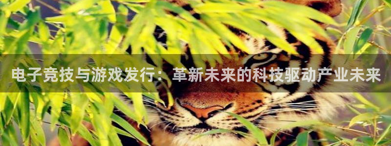 新宝GG实业投资(东莞)有限公司