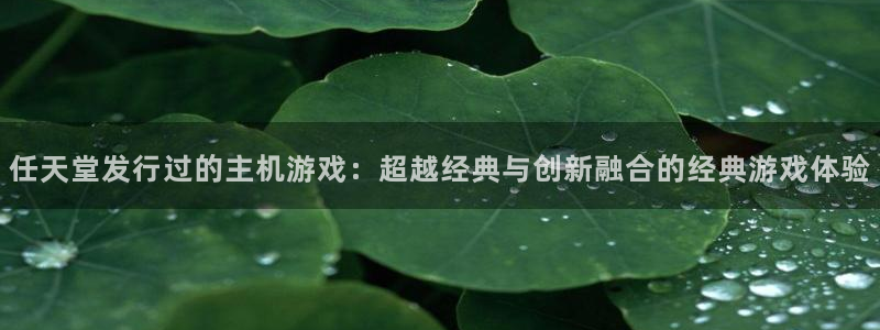 新宝GG电子商务有限公司地址
