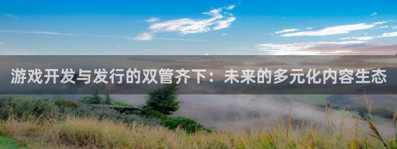 新宝GG官网客服：游戏开发与发行的双管齐下：未来的多元化内容生态