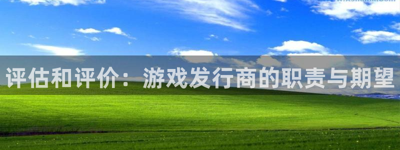 新宝GG子教育科技有限公司：评估和评价：游戏发行商的职责与期望