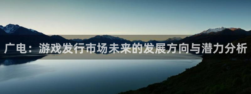 新宝GG智邦：广电：游戏发行市场未来的发展方向与潜力分析