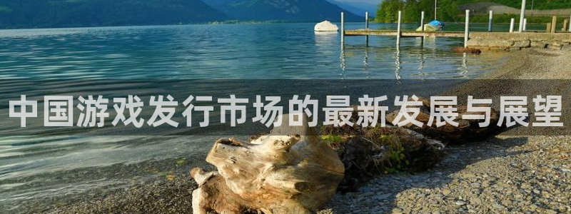 新宝GG官网注册平台怎么注册：中国游戏发行市场的最新发展与展望