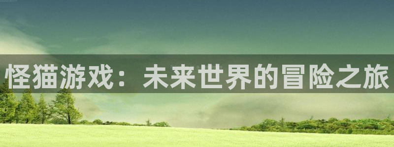 新宝GG官网注册平台怎么样啊
